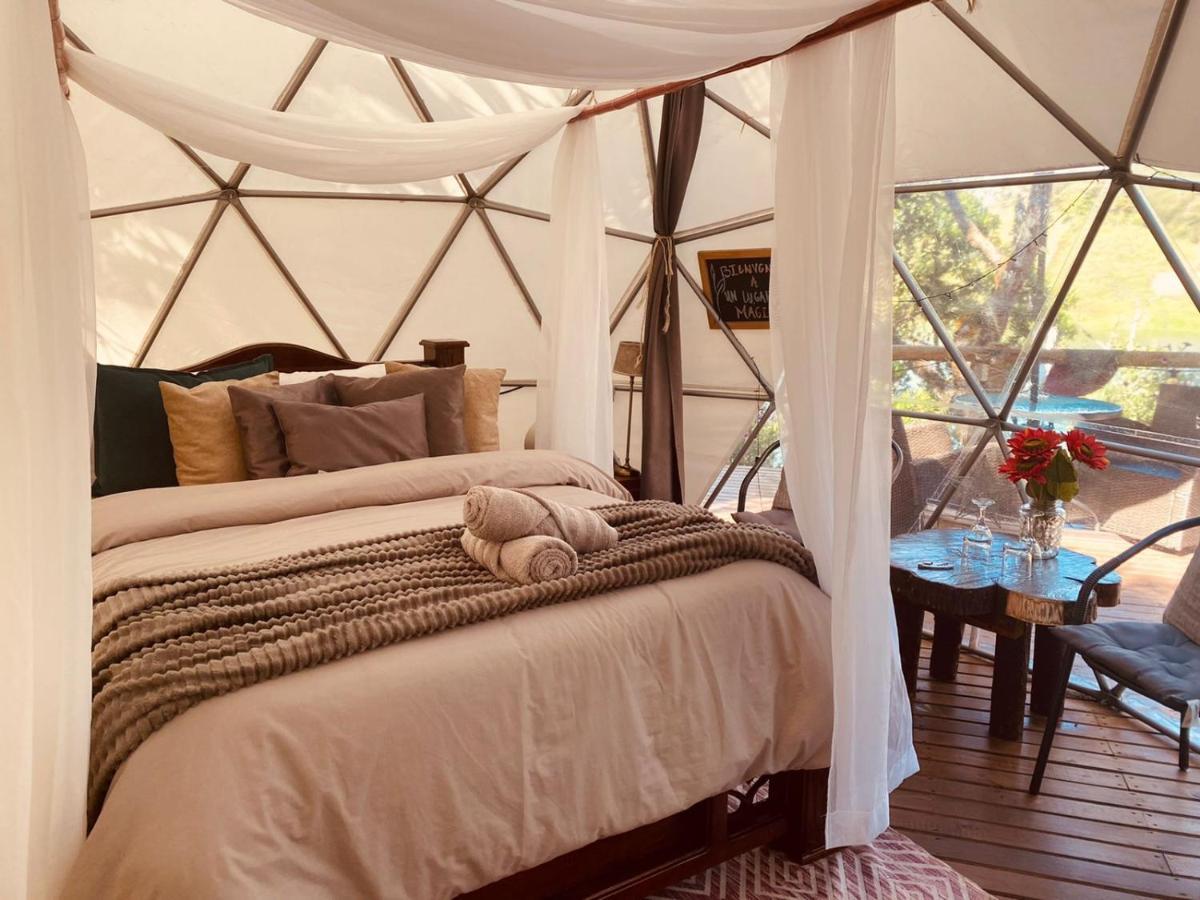 Celeste Glamping Guatape Hotel Ngoại thất bức ảnh